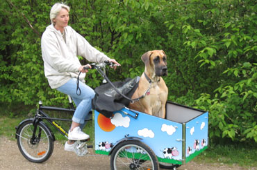 Hej Erik Som aftalt lidt billeder af vores oplevelser med Bellabiken Vedlægger også billeder med Freya, hunden som cyklen jo er bestilt til. Hun er blevet rigtig glad for cyklen og det har faktisk ikke været noget problem, at lære hende at cykle, hun springer forventningsfuld op selv. Vi har været på nogle skønne ture, hvor vi med cyklen har tid og mulighed for både at nyde naturen og hinandens selskab. Cyklen kører perfekt, er ikke spor tung, trods den lidt store last, og der er faktisk plads, så hun kan ligge ned -mange tak Mange tilfredse hilsner fra Freya, Pia og Kent